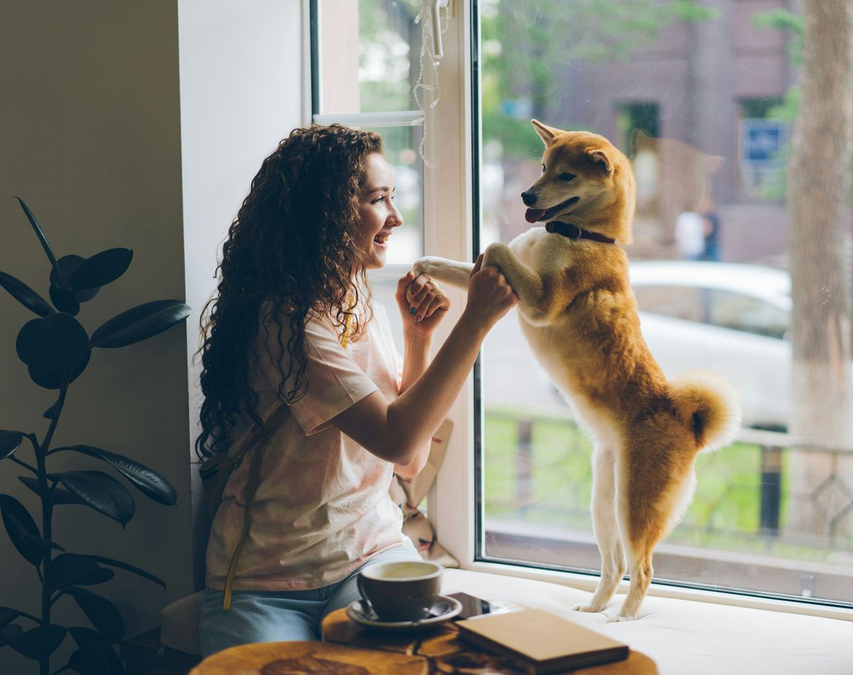 Smiling woman playing with her dog by the window of her home